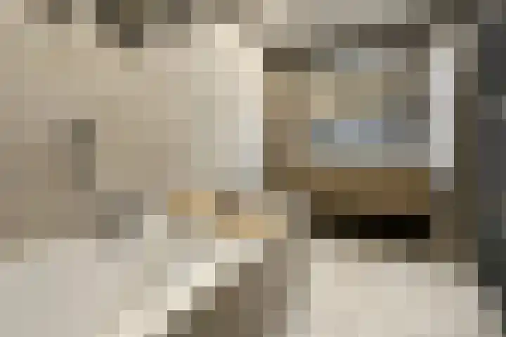 Stuivingastraat 64 Utrecht thumbnail 18