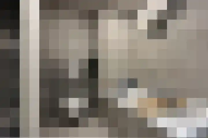 Stuivingastraat 64 Utrecht thumbnail 20