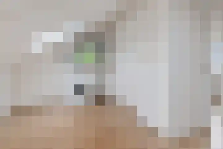 Stuivingastraat 64 Utrecht thumbnail 23
