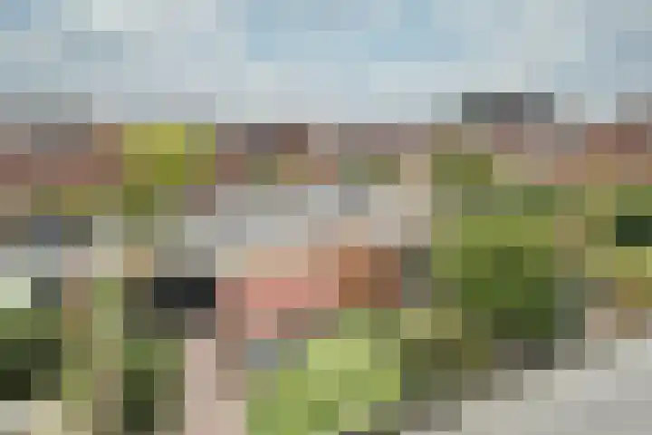 Stuivingastraat 64 Utrecht thumbnail 28