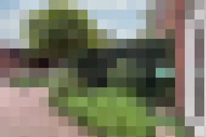 Stuivingastraat 64 Utrecht thumbnail 29