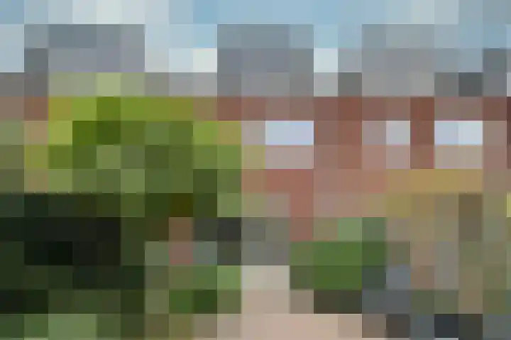 Stuivingastraat 64 Utrecht thumbnail 33
