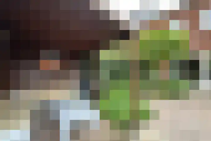 Stuivingastraat 64 Utrecht thumbnail 34