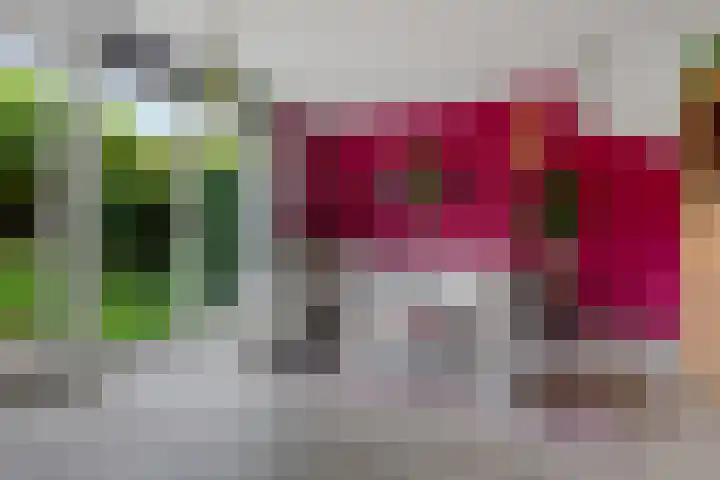 Stuivingastraat 64 Utrecht thumbnail 9