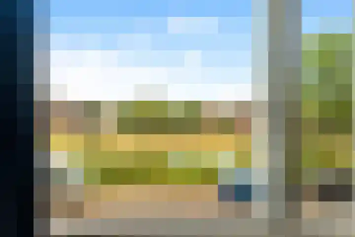 Stukadoor 1 Assendelft thumbnail 13