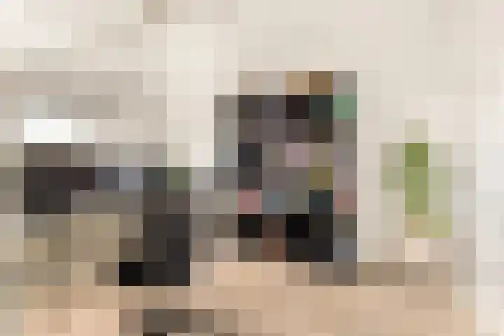 Stukadoor 1 Assendelft thumbnail 14