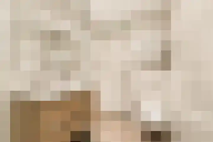 Stukadoor 1 Assendelft thumbnail 17