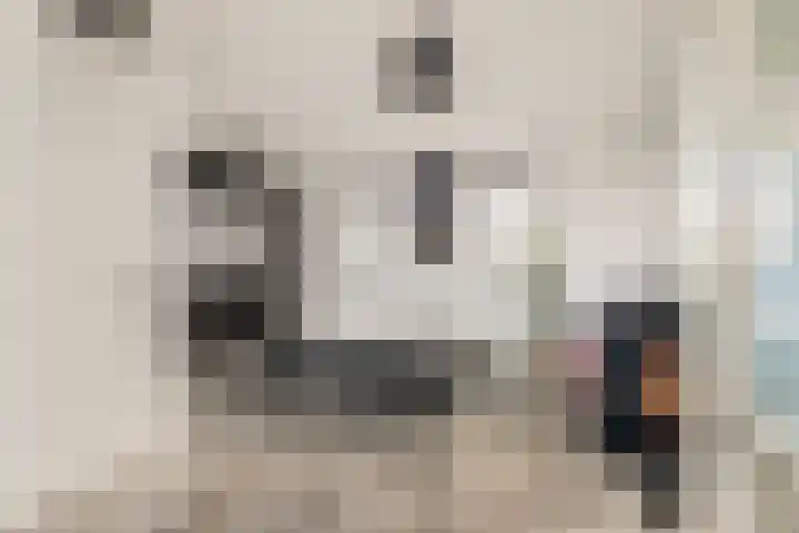 Stukadoor 1 Assendelft thumbnail 19