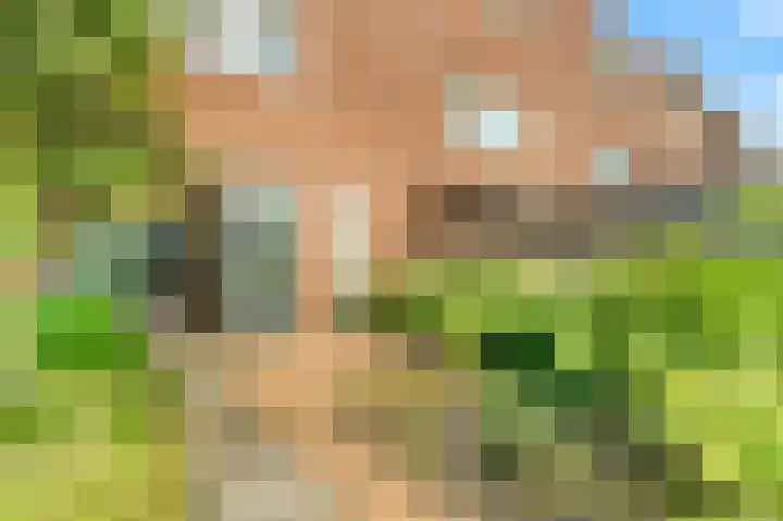 Stukadoor 1 Assendelft thumbnail 24