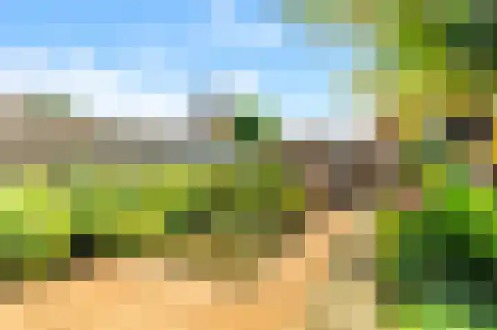 Stukadoor 1 Assendelft thumbnail 25