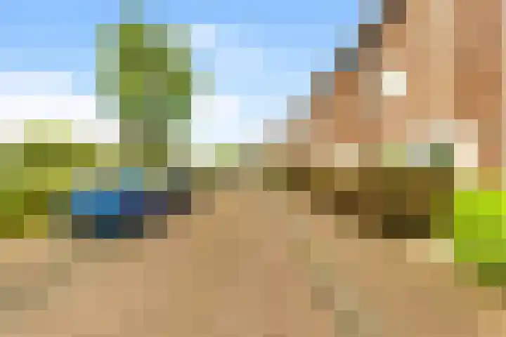 Stukadoor 1 Assendelft thumbnail 26
