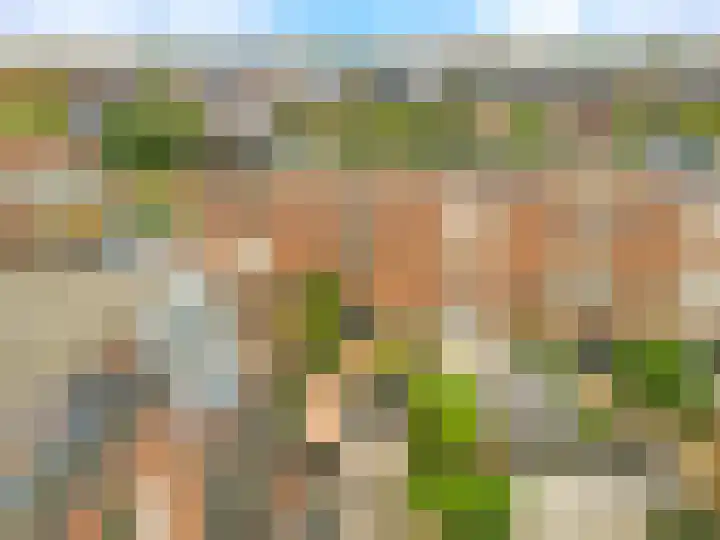 Stukadoor 1 Assendelft thumbnail 29