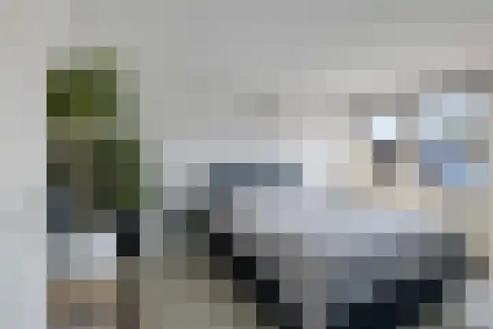 Stûken 25 Ureterp thumbnail 24