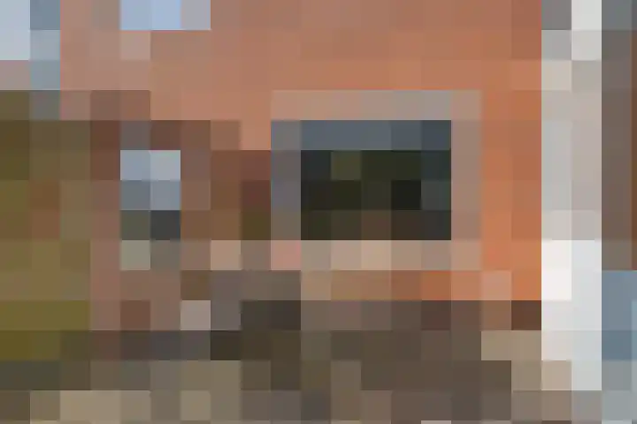 Stûken 25 Ureterp thumbnail 29