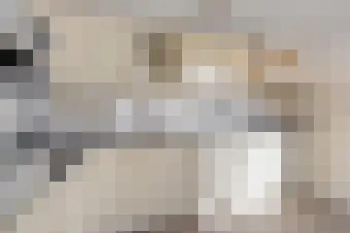 Stûken 25 Ureterp thumbnail 4