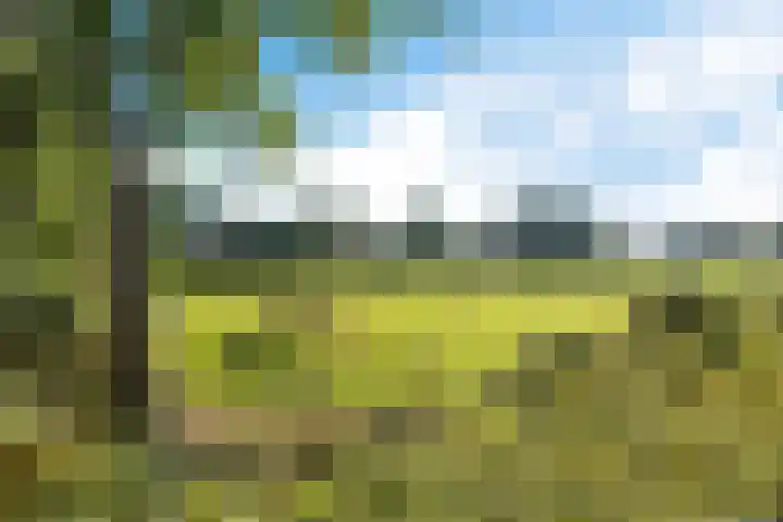 Stûken 25 Ureterp thumbnail 48