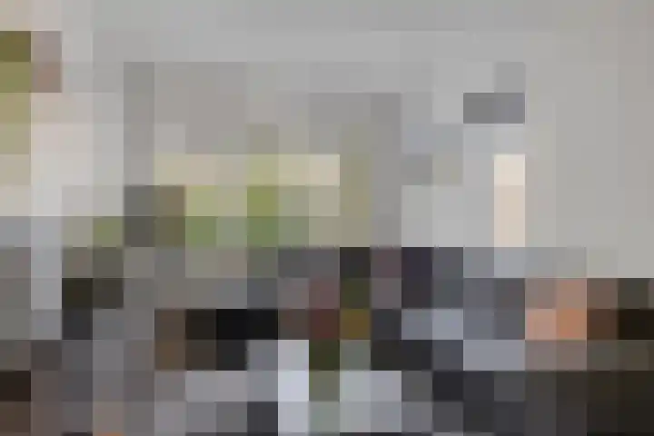 Stûken 25 Ureterp thumbnail 9