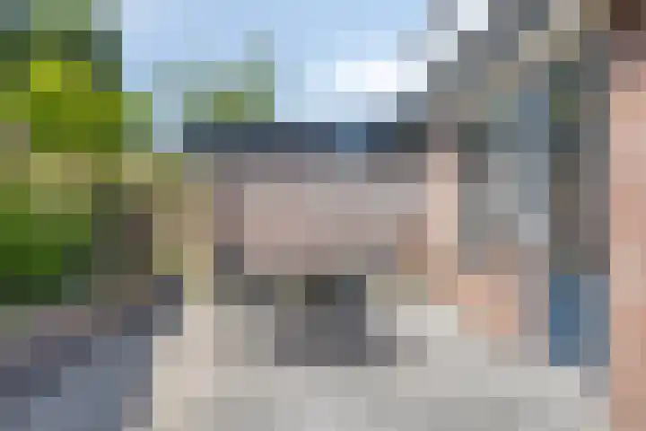 Stuksbeemden 149 Horst thumbnail 21