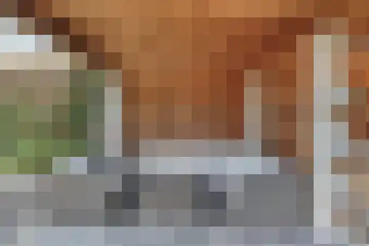 Stuksbeemden 149 Horst thumbnail 22