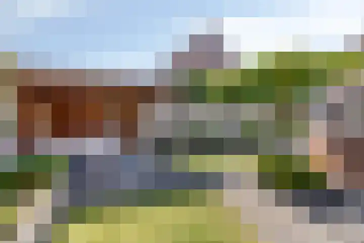 Stuksbeemden 149 Horst thumbnail 25