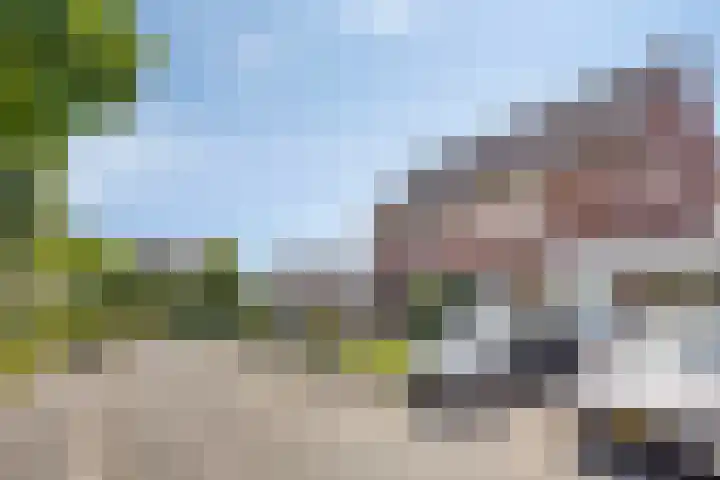 Stuksbeemden 149 Horst thumbnail 27