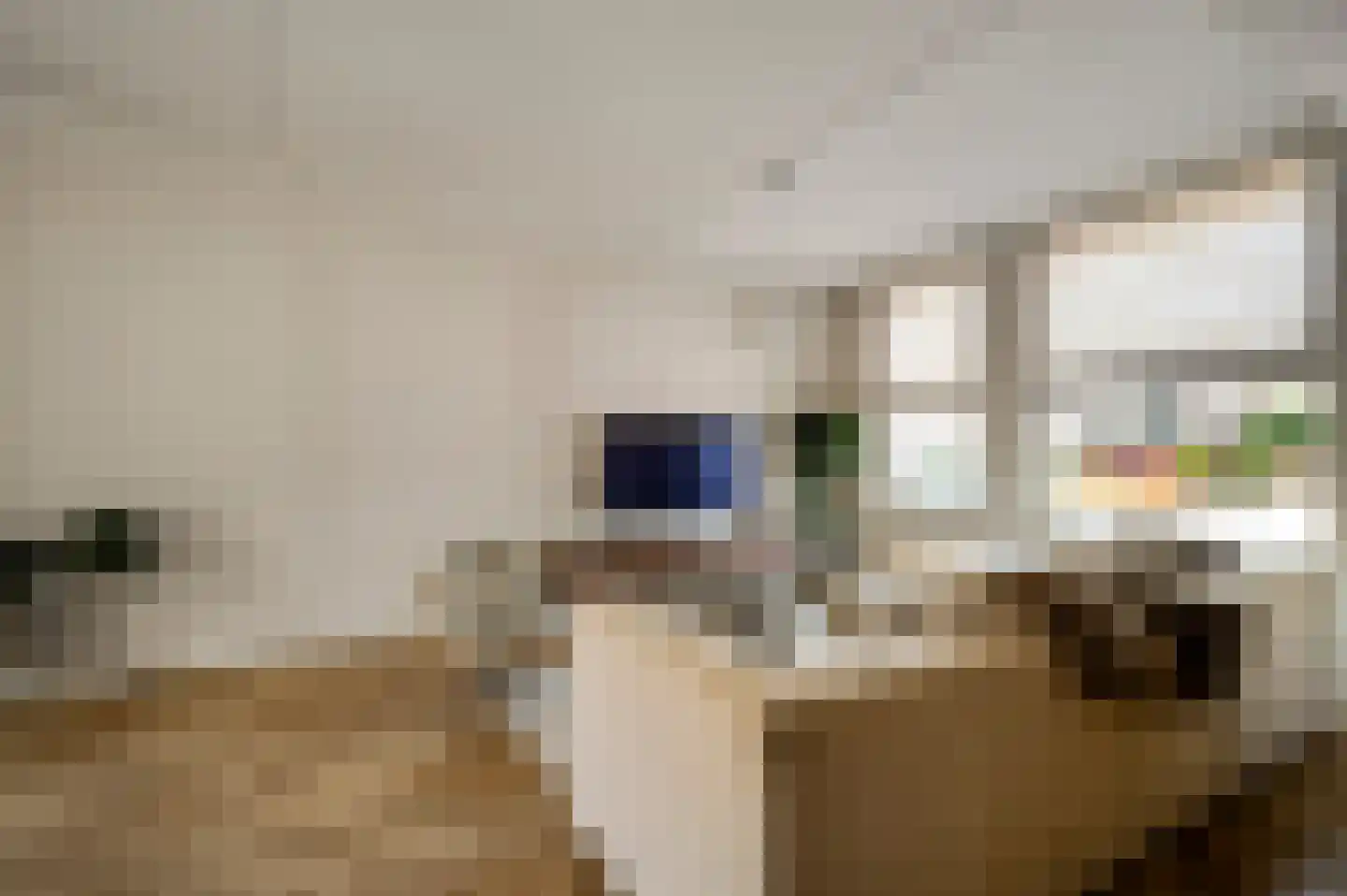 Stuksbeemden 17 Horst thumbnail 16