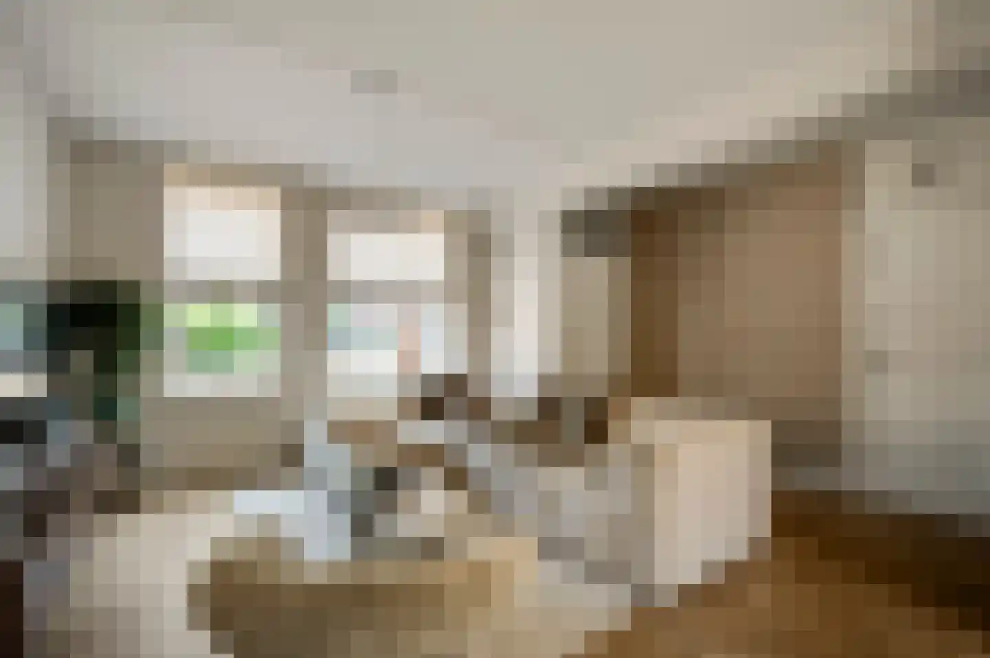 Stuksbeemden 17 Horst thumbnail 18