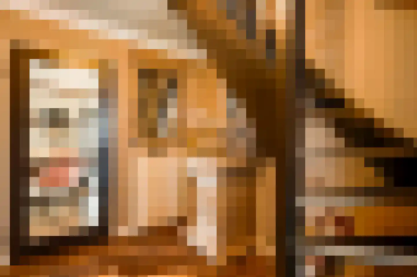 Stuksbeemden 72 Horst thumbnail 10