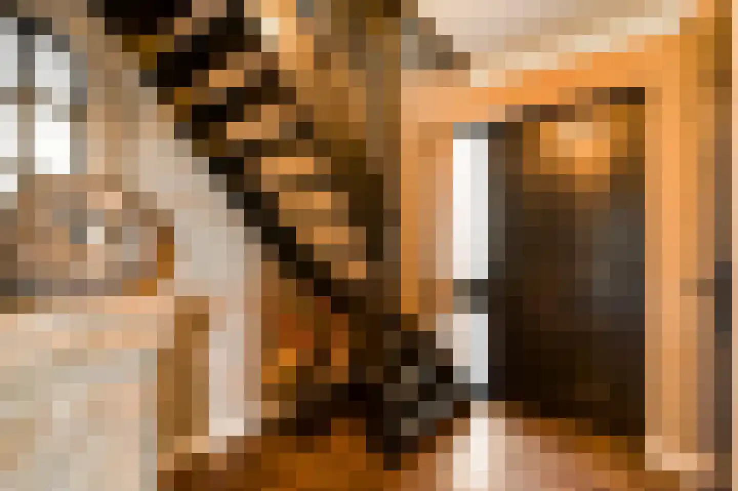 Stuksbeemden 72 Horst thumbnail 11