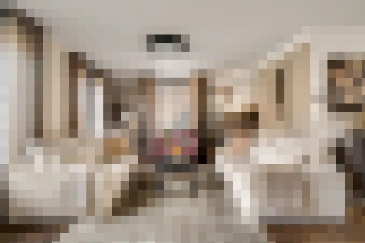 Stuksbeemden 72 Horst thumbnail 13