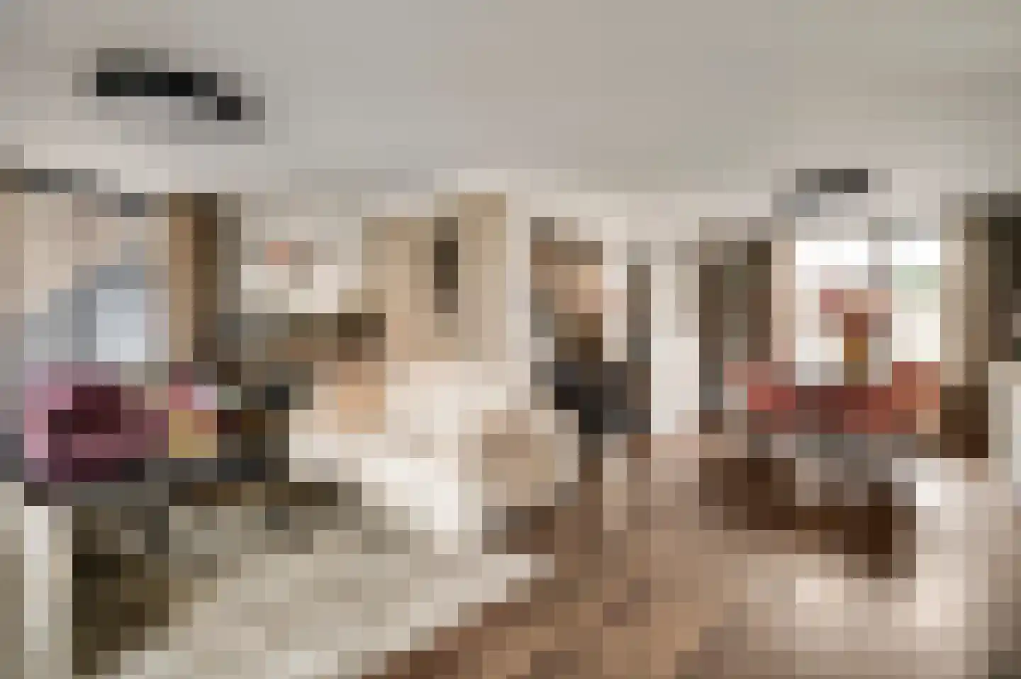 Stuksbeemden 72 Horst thumbnail 14