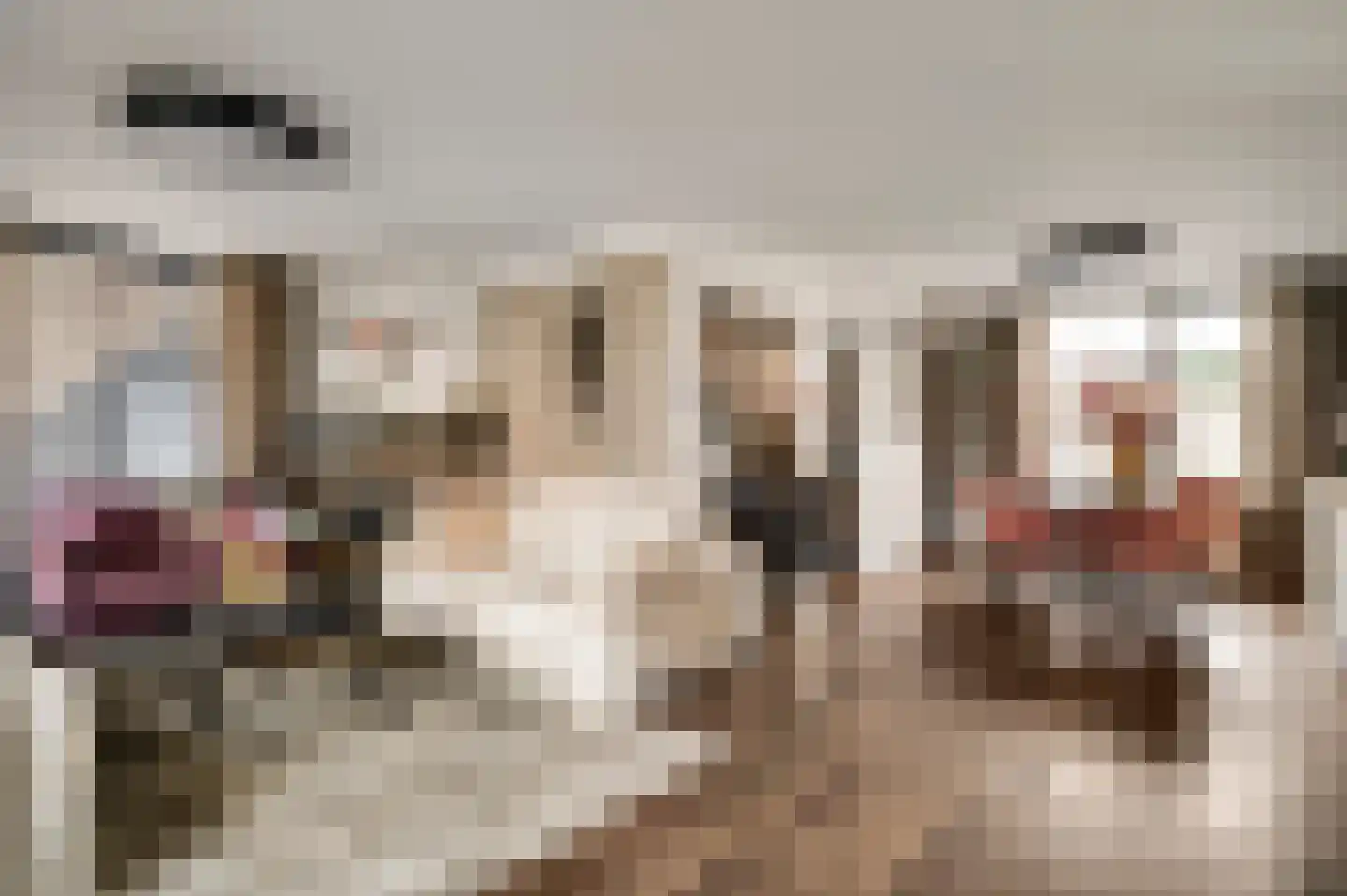 Stuksbeemden 72 Horst thumbnail 14