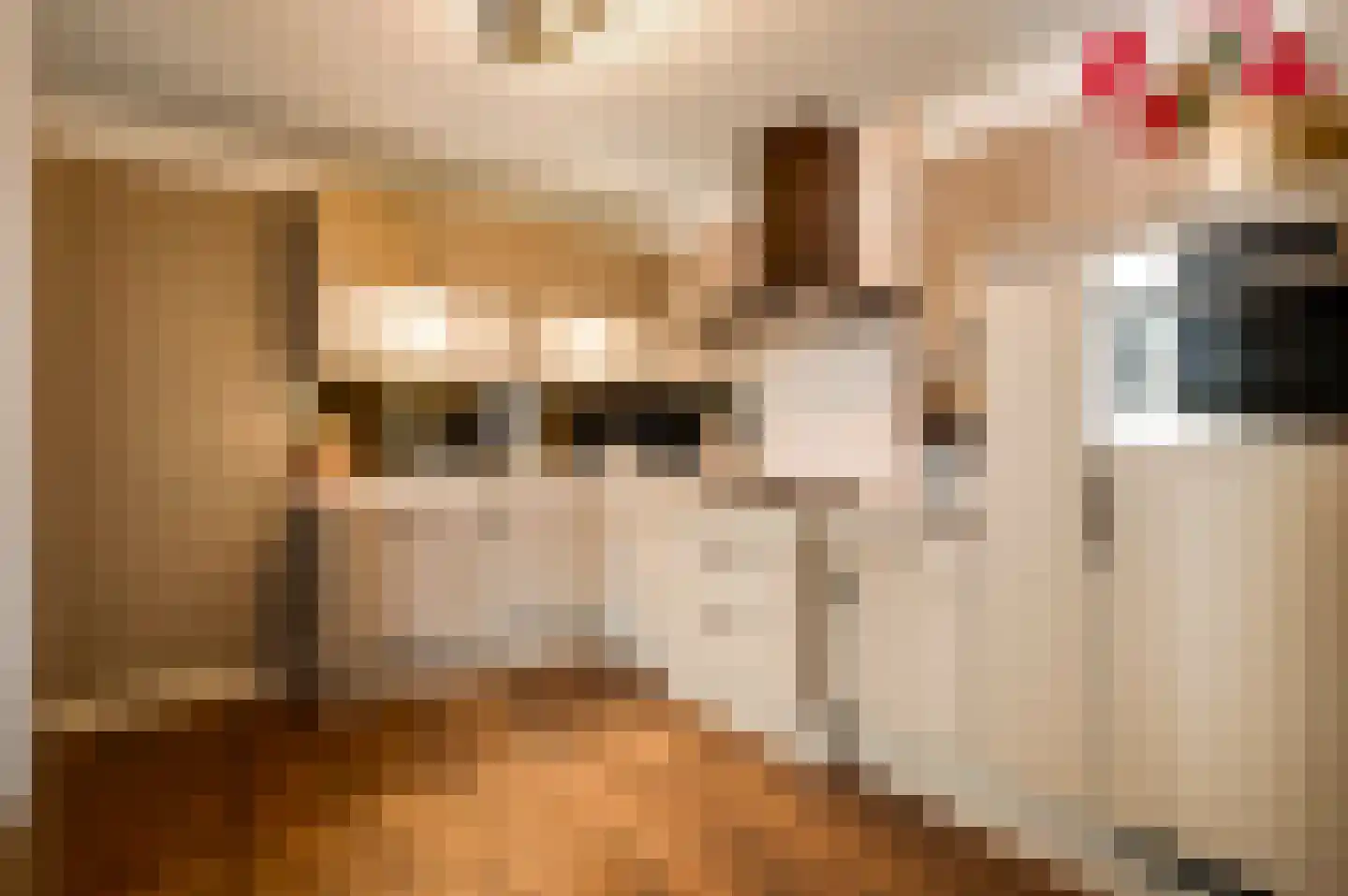 Stuksbeemden 72 Horst thumbnail 26
