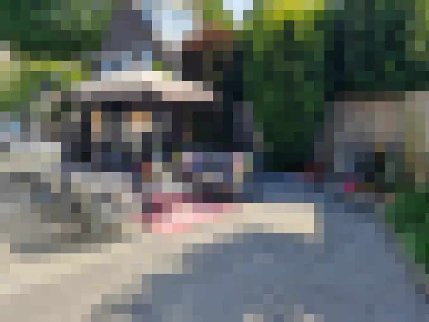 Stuksbeemden 72 Horst thumbnail 4