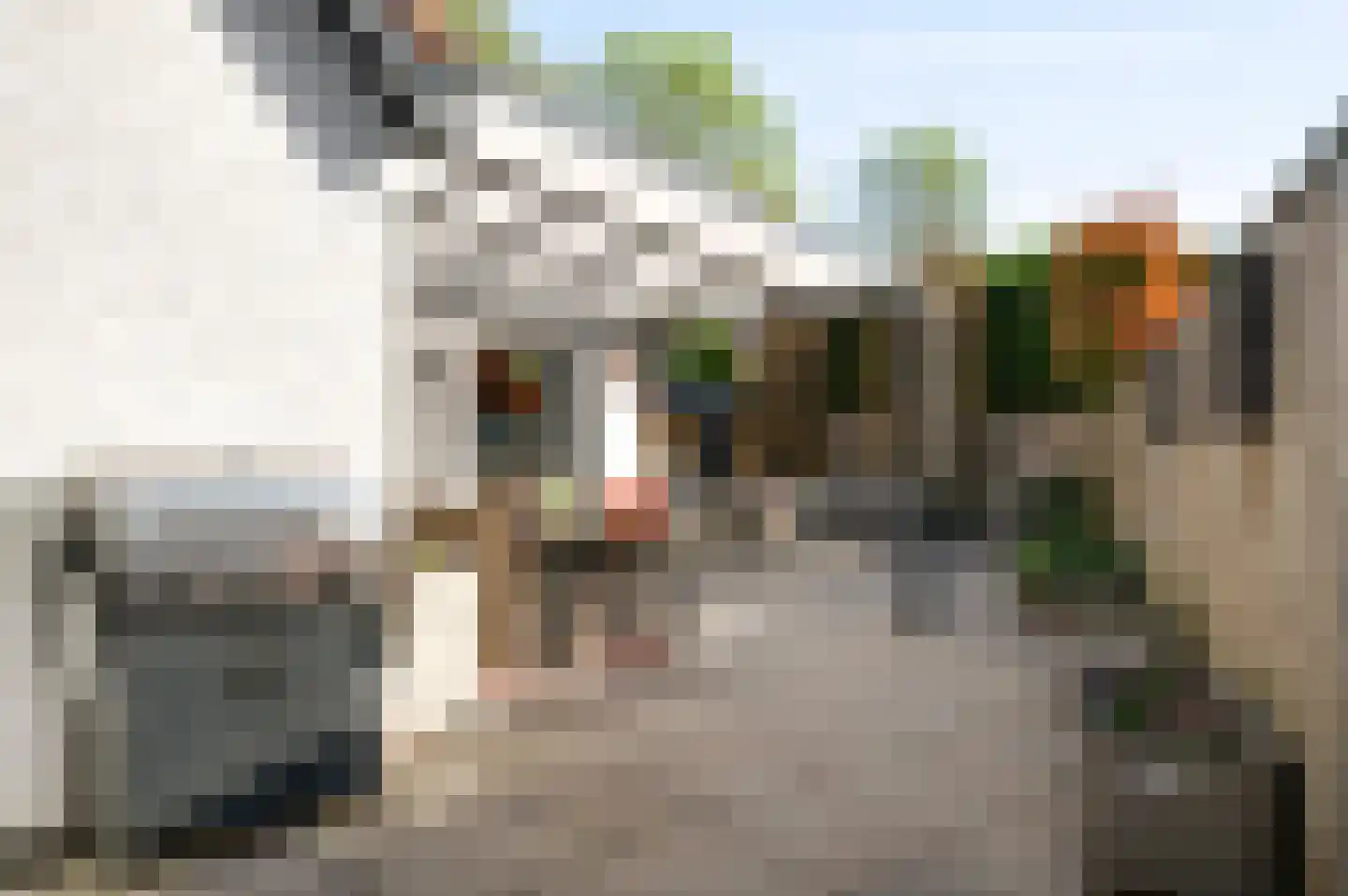 Stuksbeemden 72 Horst thumbnail 43