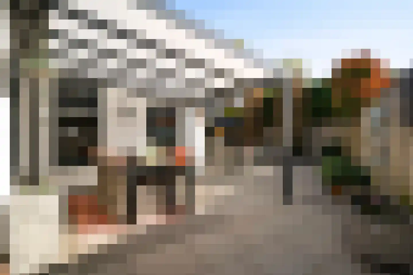 Stuksbeemden 72 Horst thumbnail 44