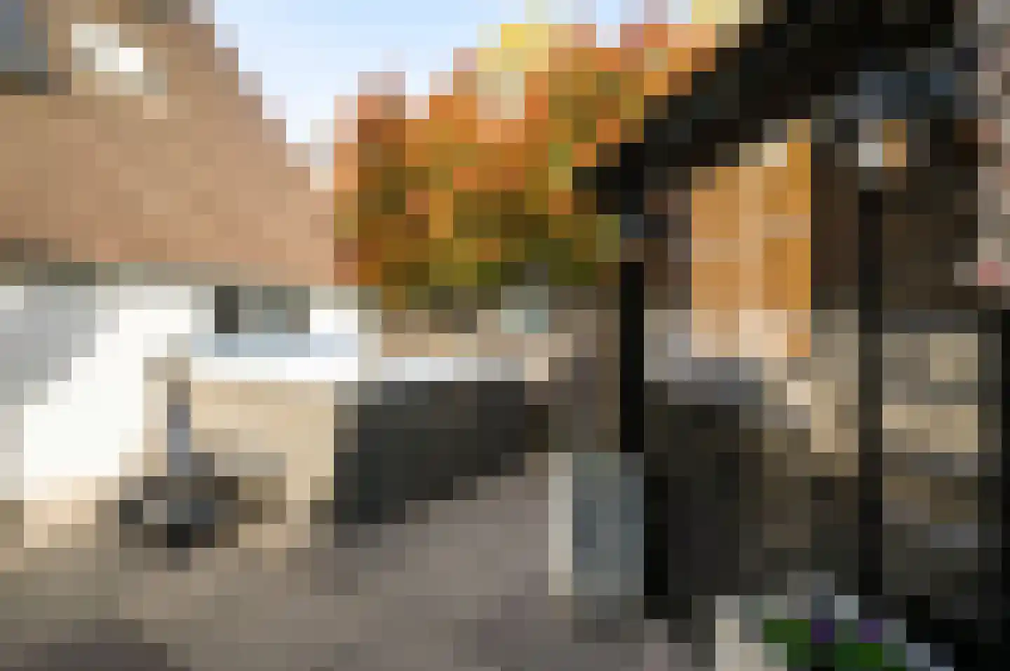 Stuksbeemden 72 Horst thumbnail 48