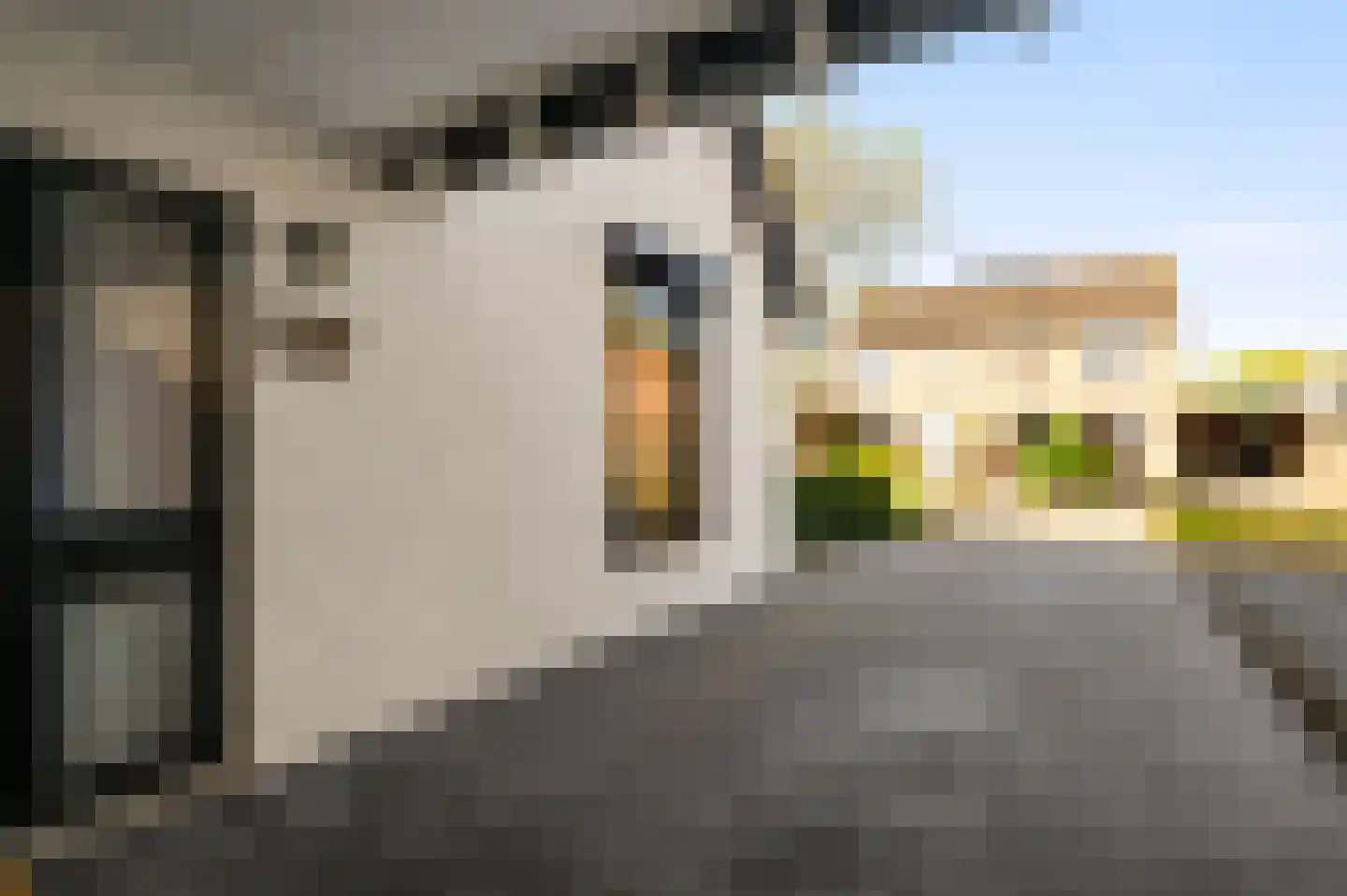 Stuksbeemden 72 Horst thumbnail 51