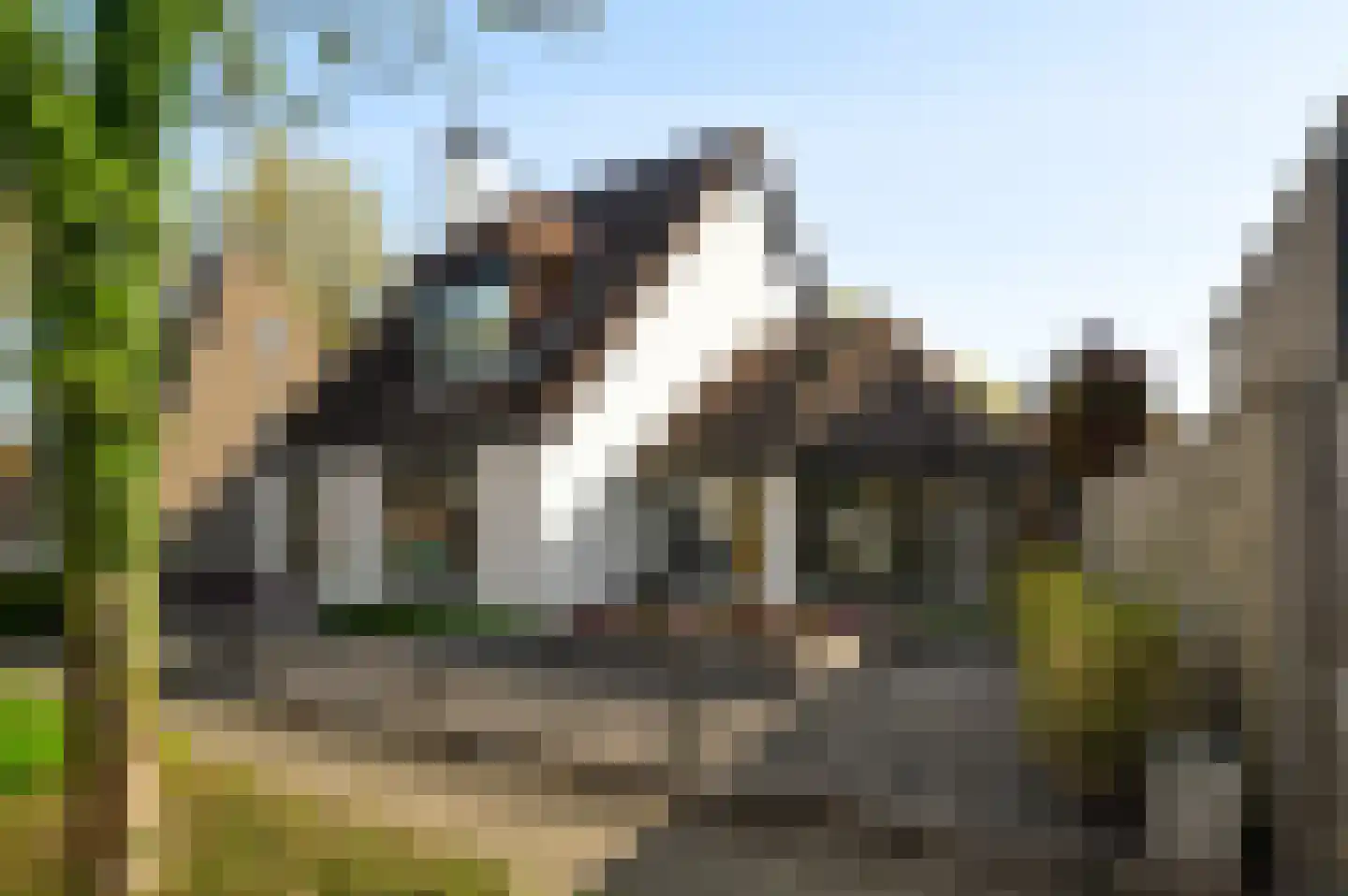 Stuksbeemden 72 Horst thumbnail 52
