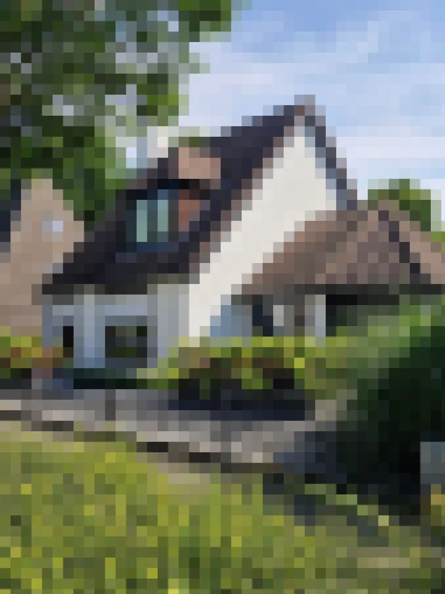 Stuksbeemden 72 Horst thumbnail 7