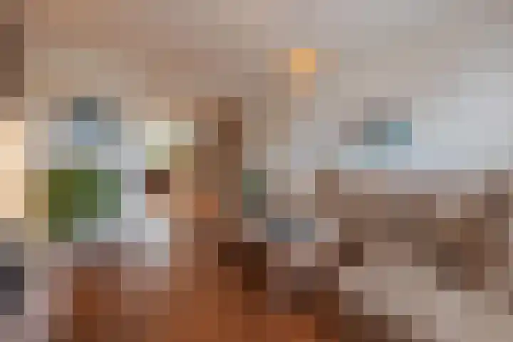 Stuksbeemden 75 Horst thumbnail 11