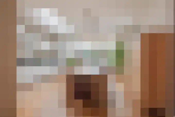 Stuksbeemden 75 Horst thumbnail 13