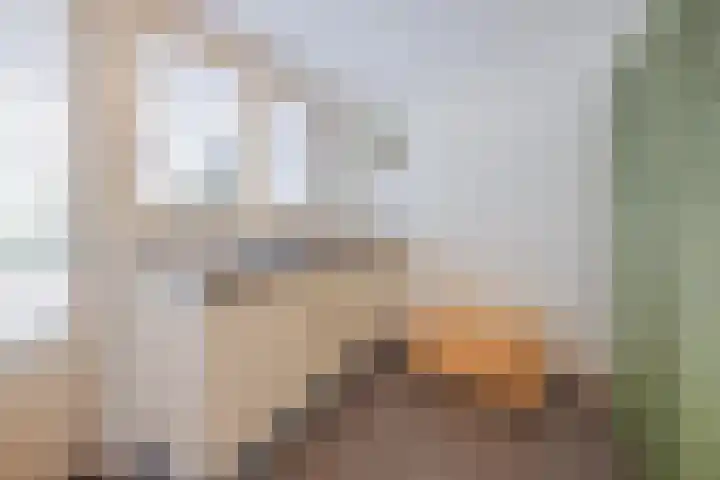 Stuksbeemden 75 Horst thumbnail 18