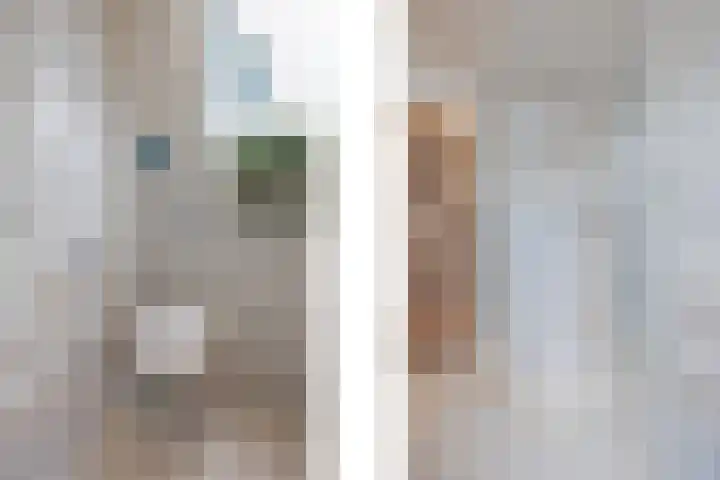Stuksbeemden 75 Horst thumbnail 26
