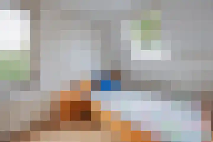 Stuksbeemden 75 Horst thumbnail 31