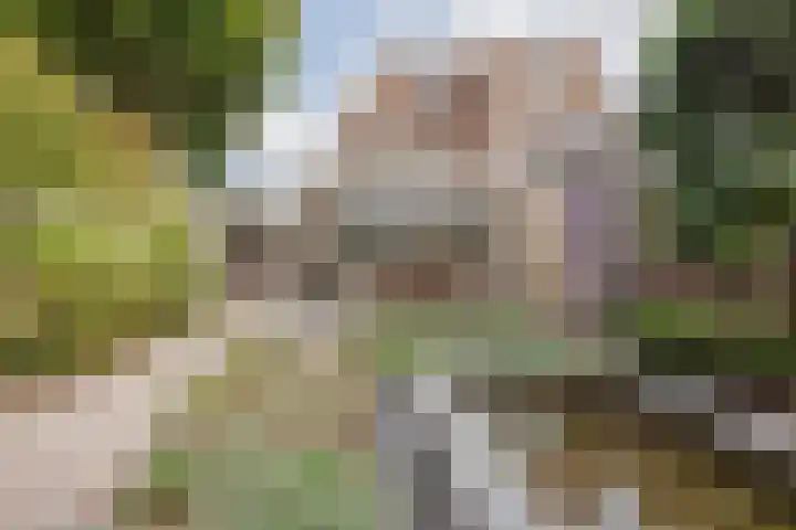 Stuksbeemden 75 Horst thumbnail 33