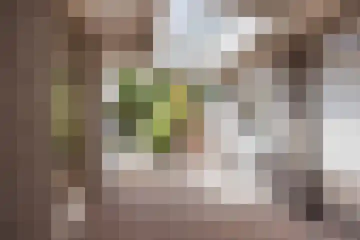 Stuksbeemden 75 Horst thumbnail 34