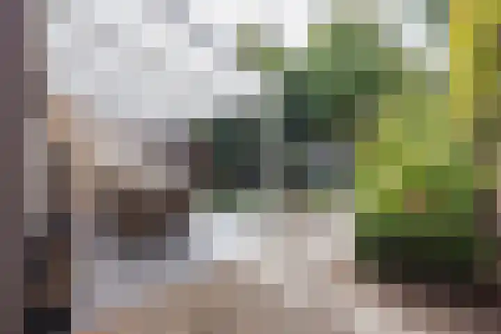 Stuksbeemden 75 Horst thumbnail 35