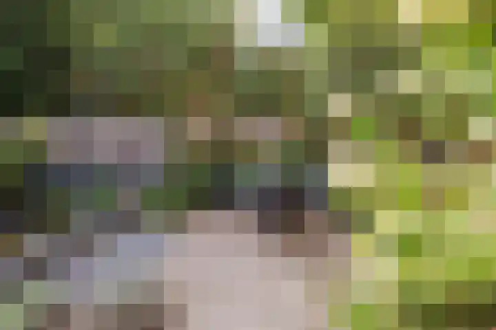 Stuksbeemden 75 Horst thumbnail 38