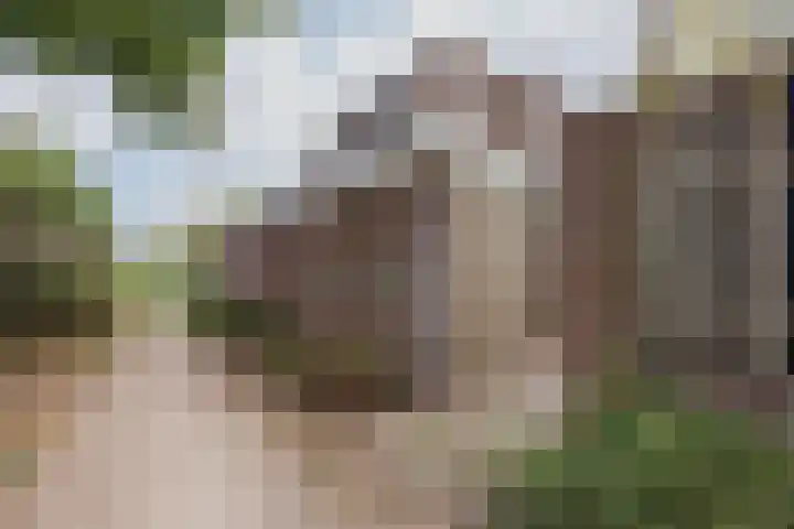 Stuksbeemden 75 Horst thumbnail 39